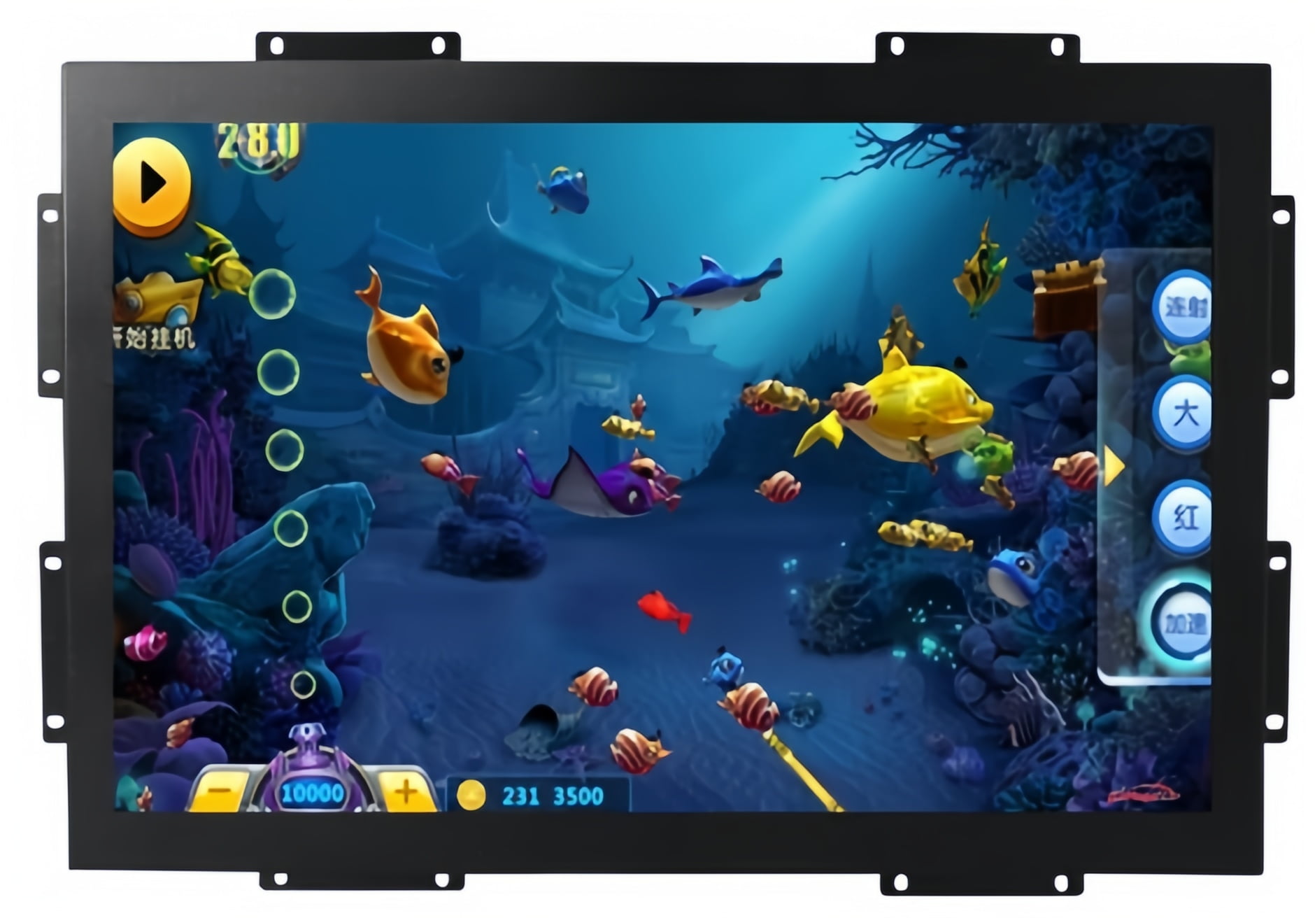 Monitors & Touch Screens